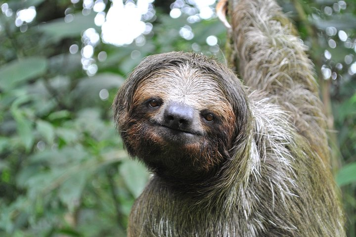 La Fortuna Wildlife Safari Float Tour - Photo 1 of 25